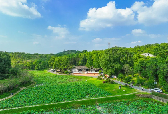 文旅部推荐益阳的这些美景美食，你们去过没？吃过吗？