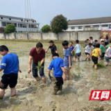 桃江县沾溪镇贺家坪小学开展“春耕插秧正当时”劳动实践活动