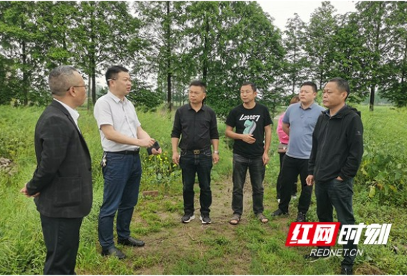 沅江市严督实查违法用地 推动自然资源执法提质增效
