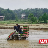 桃江县修山镇紧锣密鼓冲刺“春苗”行动