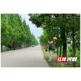 大通湖区河坝镇：道路亮肩换新貌 农居环境展新颜