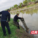 南县三仙湖镇：加强禁捕工具清理 织牢河域生态保护网