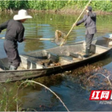 南县三仙湖镇：代表履职在行动 清理沟渠助春耕