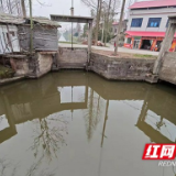 南县中鱼口镇：清理河湖垃圾 改善水域环境