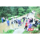 野外采药遇险怎么办？益阳医专这堂课生动又实用