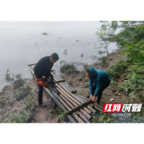 桃江县浮邱山乡积极开展“清河行动”