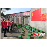 桃江县脑科医院开展廉洁文化教育社会实践活动
