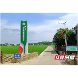 桃江县2023年高标准农田建设项目完成验收及工程固定资产移交
