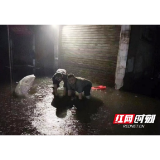  沅江市积极应对强降雨 保障群众生产生活安全