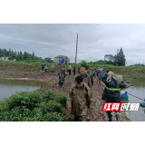 大通湖区千山红镇：众志成城 全力防汛抢险