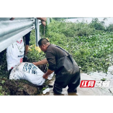 大通湖金盆镇：筑牢防汛“安全堤”