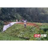 桃江县沾溪镇成功化解一处山塘溃堤风险