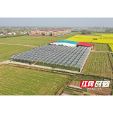 沅江市国土空间总体规划获省政府批复