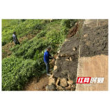 桃江牛田镇：处置线路隐患 护佑孩子平安