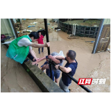 安化县柘溪镇：90分钟成功救援4名被洪水围困群众