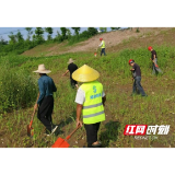 南县三仙湖镇：电排查险除防险 紧绷防汛安全弦