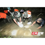 资阳区沙头镇处置一闸门底部漏水险情