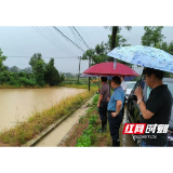 赫山区泉交河镇积极开展农业生产自救