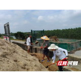 防汛一线｜风雨飘摇，南县防汛的动人身影④