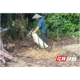 南县武圣宫镇：退水不退防 人居环境整治齐发力