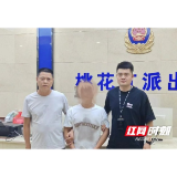 桃江警方破获一起车内财物被盗案