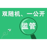 资阳：“双随机一公开”检查 助力代理记账行业风清气朗