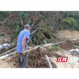 桃江县浮邱山乡开展森林防火“五边两内”可燃物清理集中行动