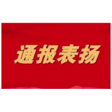 益阳18家单位被省政府通报表扬