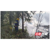 木材加工厂起火 益阳消防紧急驰援