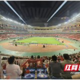 安化黄精助力湘超联赛 为长沙赛场加油喝彩