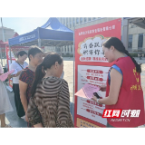 大通湖区开展城乡居民医保政策宣传活动