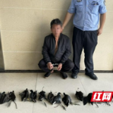 为“解馋”捕猎51只黑水鸡 大通湖一男子被刑拘