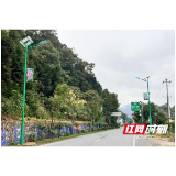 桃江县马迹塘镇：人大代表聚力量 照亮民生幸福路