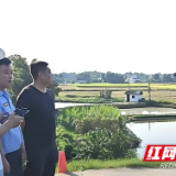 赫山区泉交河镇：“空中卫士”助力秸秆禁烧 科技赋能守护蓝天底色