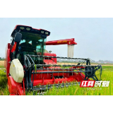 南县明山头镇：返乡甘当“新农人” 带领乡亲共致富