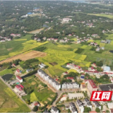 “疏”“堵”并举！资阳区迎风桥镇绘就秸秆利用与禁烧新图景