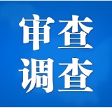 赫山区兰溪镇莲花塘村村委原委员陈励接受审查调查