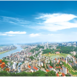 洞庭稻浪颂“丰”景