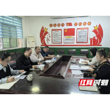大通湖区：查责任、看部署、督进度 确保医保民生保障政策落地见效
