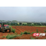 赫山区泉交河镇：秋冬耕种正当时 助农增产促增收