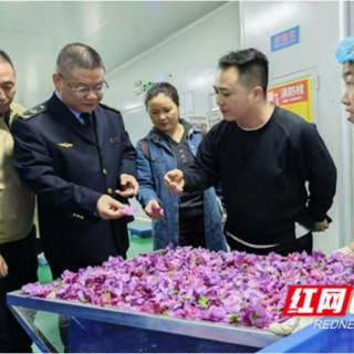 9月30日起,益阳两项木槿地方标准正式实施