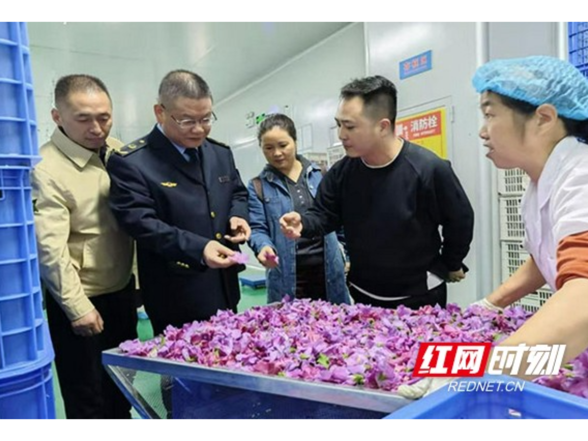9月30日起，益阳两项木槿地方标准正式实施