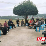 赫山区岳家桥镇：屋场会上“话家常” 政策宣传 “零距离”