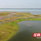 赫山区来仪湖国家重要湿地入选国家重要湿地名录