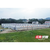 桃江：“空闲棚”变“多产棚” 赚个“棚”满钵满
