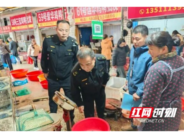 益阳：集中“体检”集贸市场电子秤 守护百姓“菜篮子”计量公平