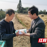 金盆镇有成村:重阳敬老送温暖 阳光寿面寄深情