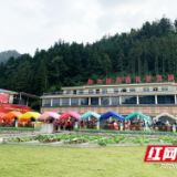 安化:文化科技卫生“三下乡” “惠民大礼包”送到百姓家门口