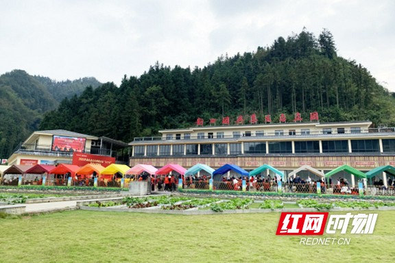 9999.marked.jpg 9999.marked.jpg