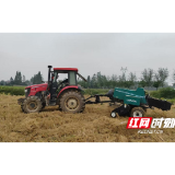 “大圆捆”与“小方块”:河坝镇巧解秸秆难题,废料变身“香饽饽”